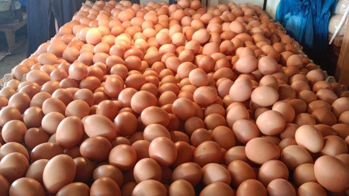 Jelang Ramadan, Harga Telur di Pasar Namlea-Pulau Buru Naik per Ikat Rp 325 ribu