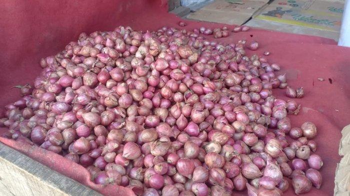 Harga di Sentra Probolinggo Meningkat , Bawang Merah di Ambon Kembali Naik Jelang Ramadan