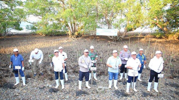 PLN Peduli, 2.000 Bibit Mangrove Ditanam di Pesisir Pantai Negeri Waai- Malteng
