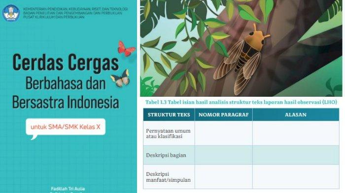 Kunci Jawaban Bahasa Indonesia Kelas 10 Halaman 9 Kurikulum Merdeka: Laporan Observasi Tonggeret