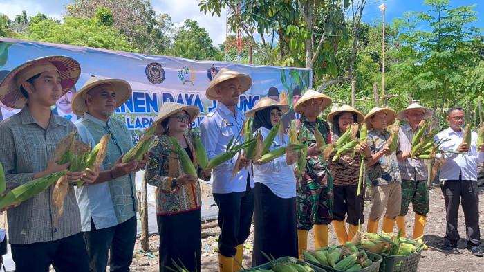 Bukti Sukses Ketahanan Pangan, Panen Raya Jagung di Lapas Wahai Capai 1,2 Ton