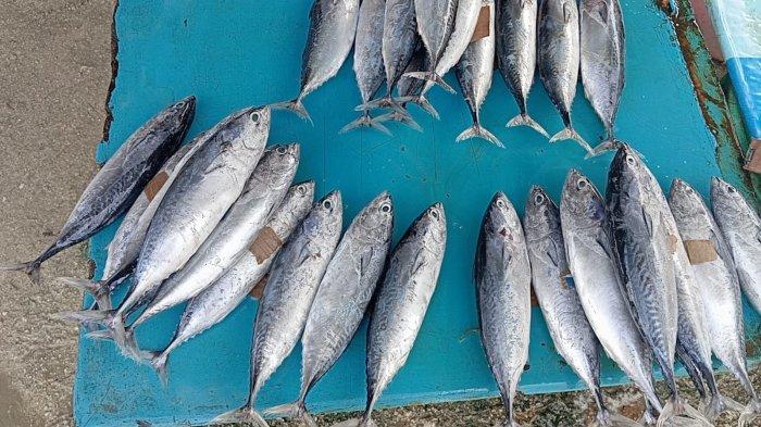 Cuaca Buruk, Harga Ikan di Pasar Langgur Maluku Tenggara Masih Mahal