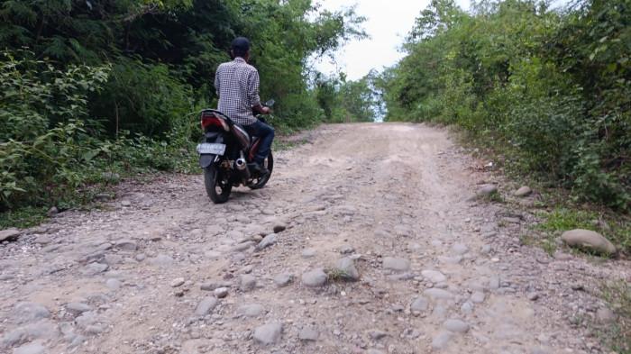 Hasil Panen Sulit Dijual ke Kota, Pemuda Rukun Jaya Minta Pemerintah SBT Perbaiki Akses Jalan