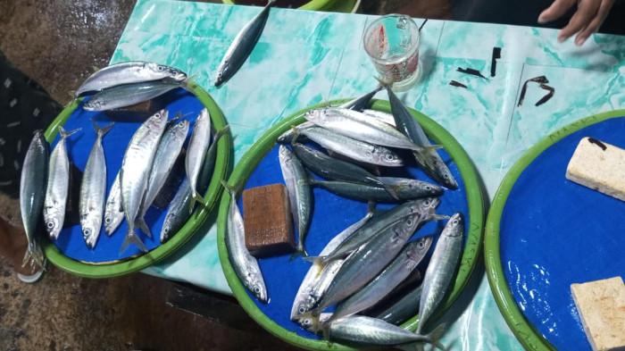 Ikan dari Tehoru Dijual Rp. 20 Ribu per 8 Ekor di Pasar Binaiya Masohi