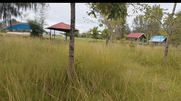 Sempat Dibersihkan atas Instruksi Bupati, Alun-alun Tita Fena Bupolo Kini Kembali Terbengkalai