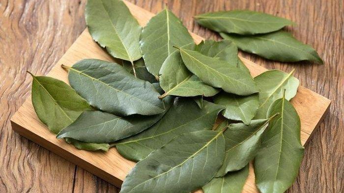 9 Manfaat Air Rebusan Daun Salam untuk Kesehatan, Turunkan Tekanan Darah Tinggi hingga Obati Maag