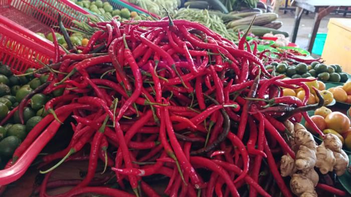 Harga Cabai di Pasar Rakyat Bula Anjlok, Cabai Keriting Dibandrol Rp 25 ribu per Kilo