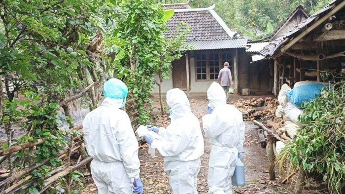 Makan Daging Sapi yang Mati Sudah Dikubur dan Digali Lagi, 93 Orang Terjangkit Antraks, 3 Meninggal