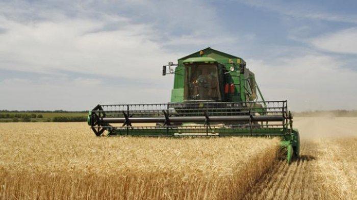 Konflik Rusia dan Ukraina Dinilai Akan Berpengaruh pada Harga Pangan di Indonesia