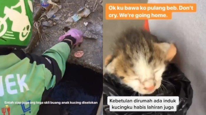Viral Driver Ojek Online Selamatkan Anak Kucing yang Tenggelam di Selokan, Ini Kisah Dibaliknya