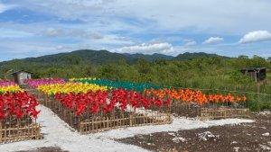 412023-Kincir-Angin.jpg