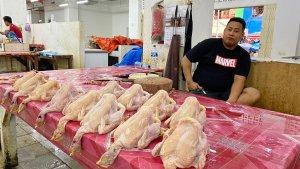 Ayam-kampoeng.jpg