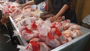 Ayam-potong-vvvbhj.jpg
