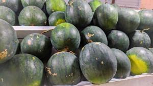 Buah-Semangka.jpg