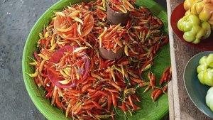 Cabai-cabai-Binaiya-pala.jpg