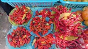 Harga-cabai-trib.jpg