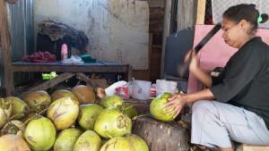 Kelapa-Merry.jpg