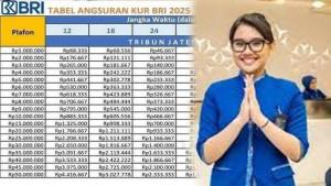 PENGAJUAN-ONLINE-KUR-BRI-2025.jpg