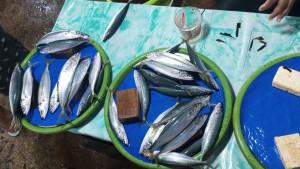 Pedagang-ikan-er.jpg