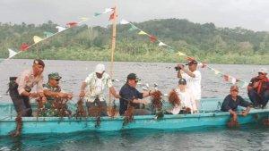 Seaweed-letvuan.jpg