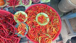 cili-turung-eg.jpg