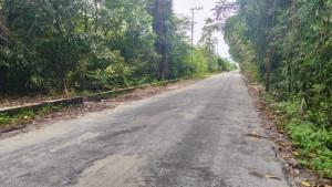 jalan-rusak-di-itawaka.jpg