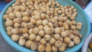 langsat-ambon-manis.jpg