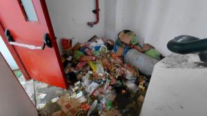 sampah-875.jpg