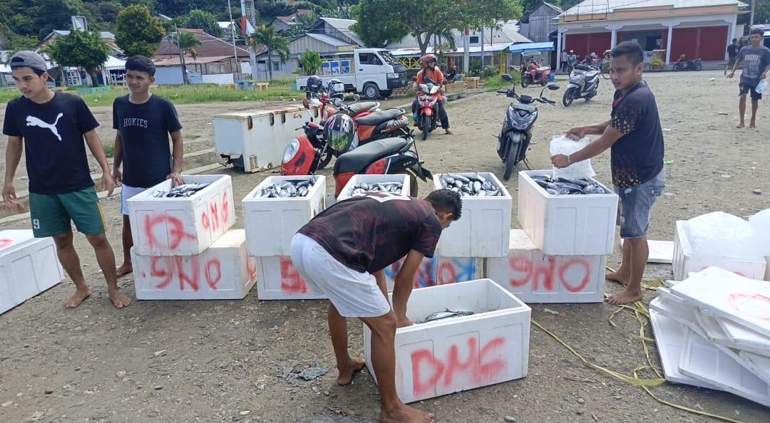 Tangkapan Ikan Melimpah, Nelayan Seith: Harga Turun Jadi Rp 650 Ribu per Loyang