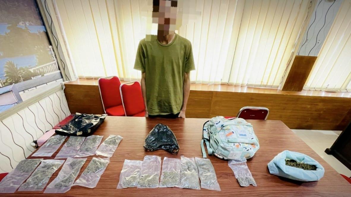 Polisi Ringkus Pengedar Ganja di Pelabuhan Ambon, Sita Hampir Setengah Kilogram Narkoba