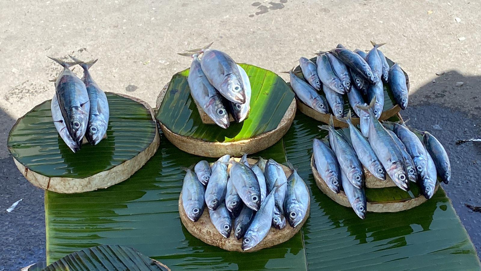 Update, Harga Sayur di Kota Ambon Stabil, Harga Ikan Melonjak