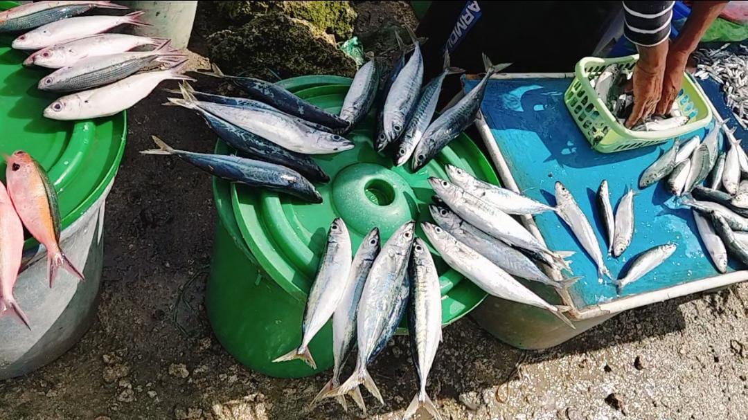 Harga Ikan di Pasar Langgur Maluku Tenggara Masih Mahal, Akibat Cuaca Buruk