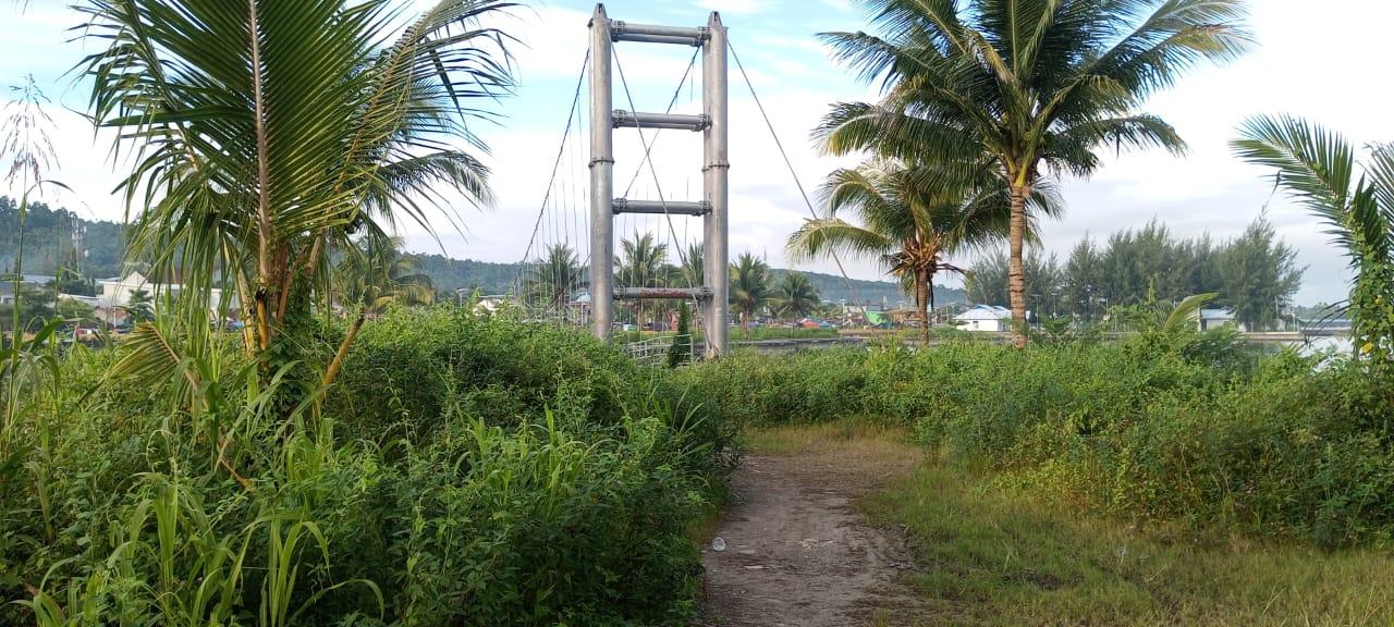 ‎Kawasan Reklamasi Pantai Ina Marina Ditumbuhi Rumput Liar: Ketinggian Nyaris 2 Meter