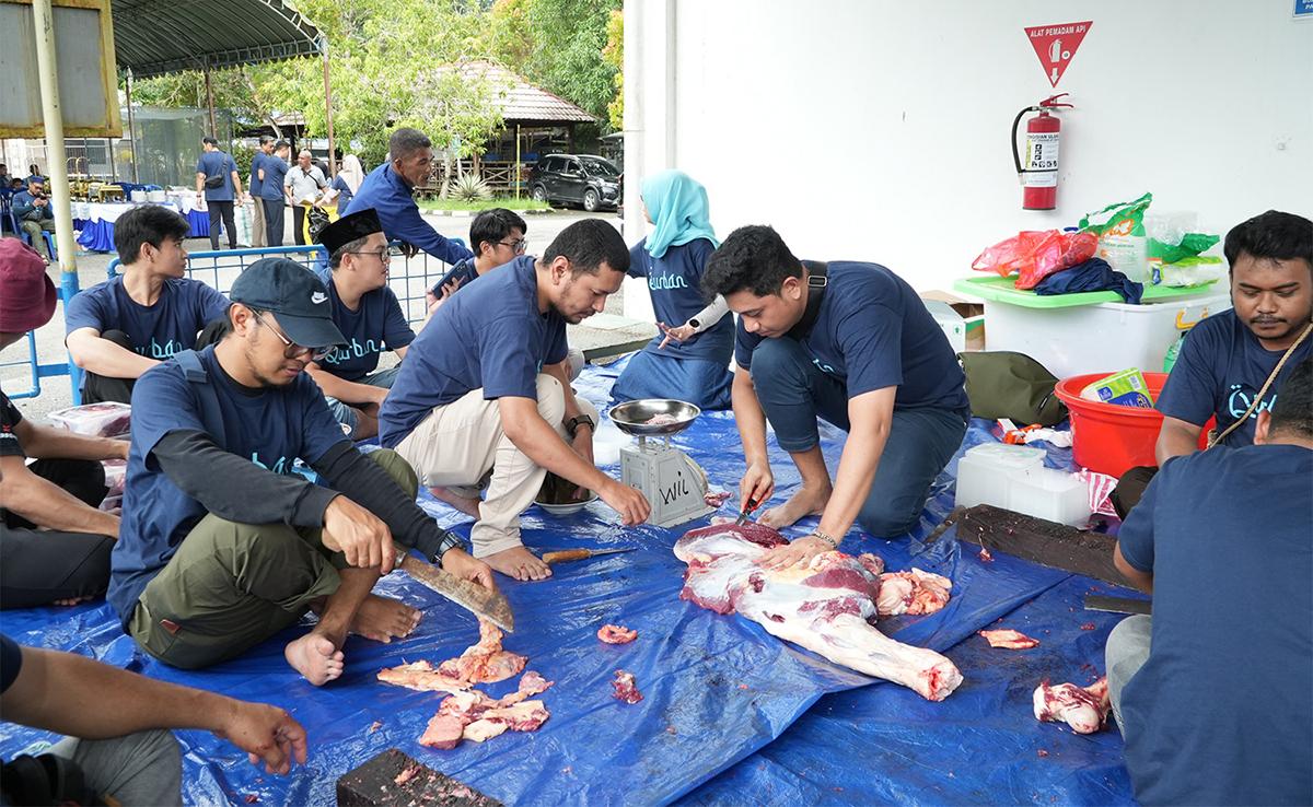 PLN-IDUL.jpg
