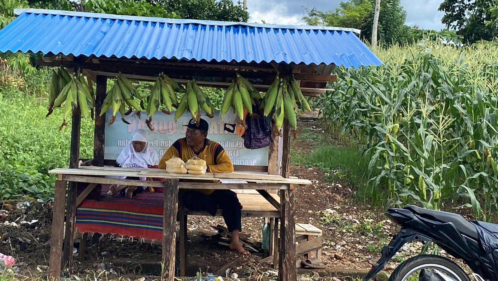 Jelang Tahun Baru 2025, Penjual Jagung Ramai di Sepanjang Jalan Dusun Talaga Kodok Maluku