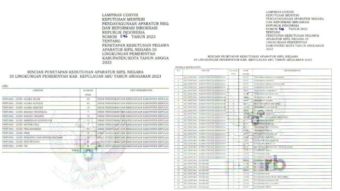 Rincian-Penetapan-Kebutuhan-ASN-di-Kepulauan-Aru-tahun-anggaran-2023.jpg