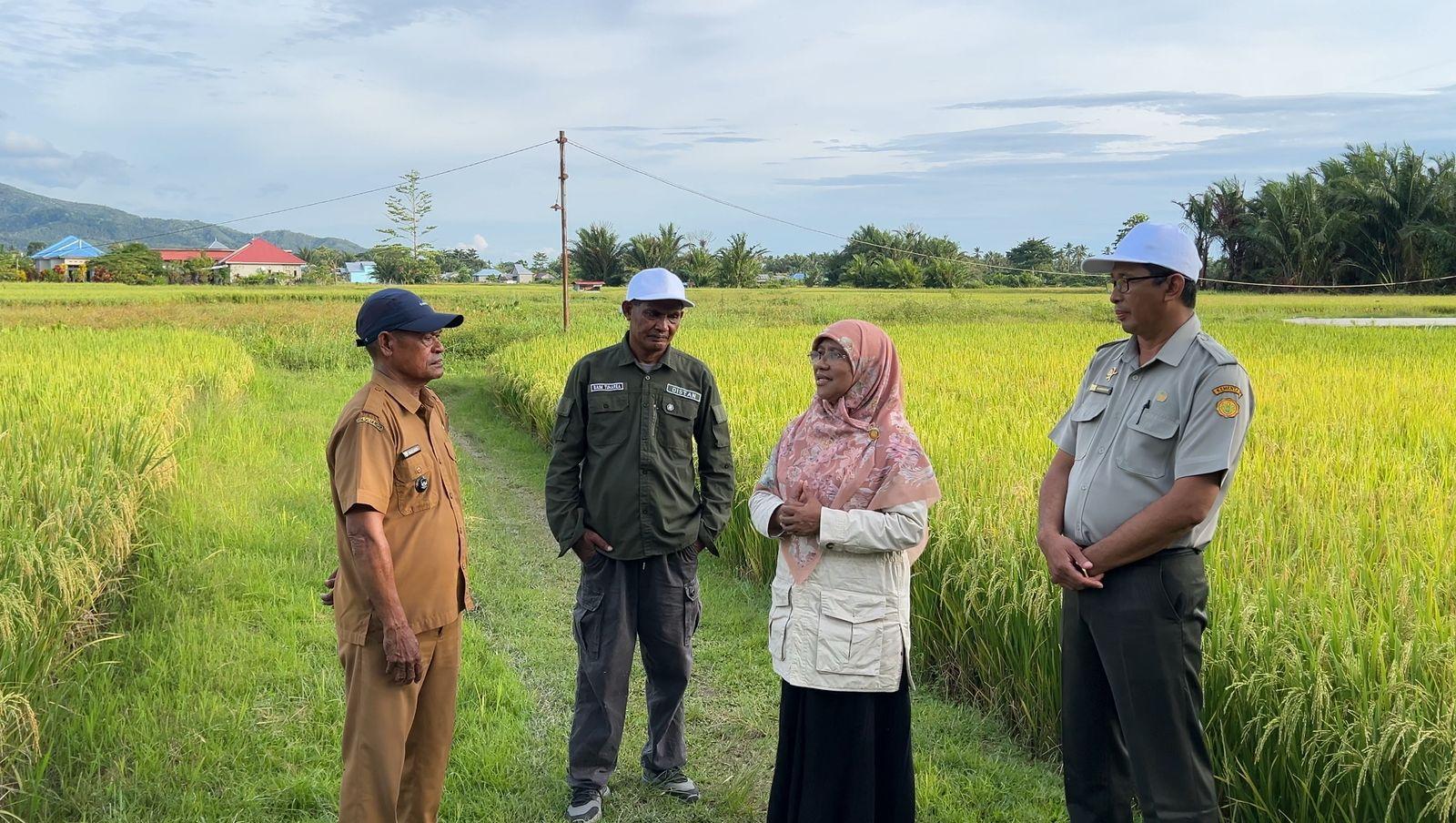 Aspirasi Petani Lokal di Desa Waipirit SBB Jadi Fokus Perjuangan Saadiah Uluputty di Senayan