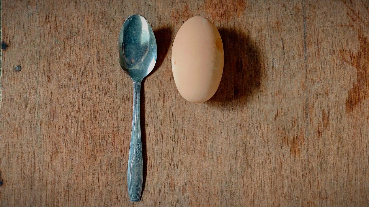 TELUR-BURUNG.jpg