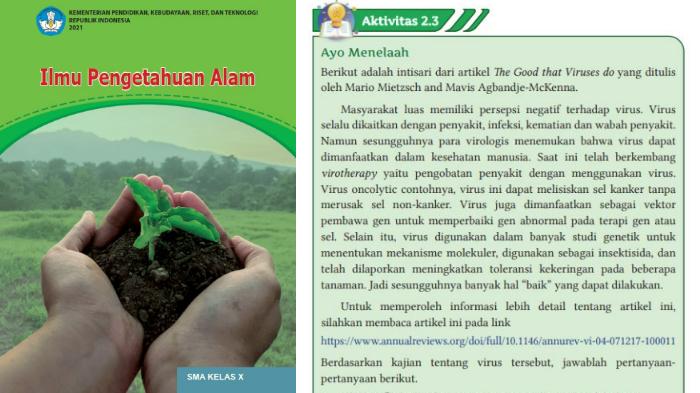 buku-IPA-Kelas-10-Kurikulum-Merdeka-halaman-41.jpg