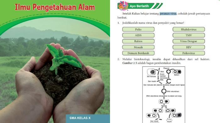 buku-IPA-Kelas-10-Kurikulum-Merdeka-halaman-43.jpg