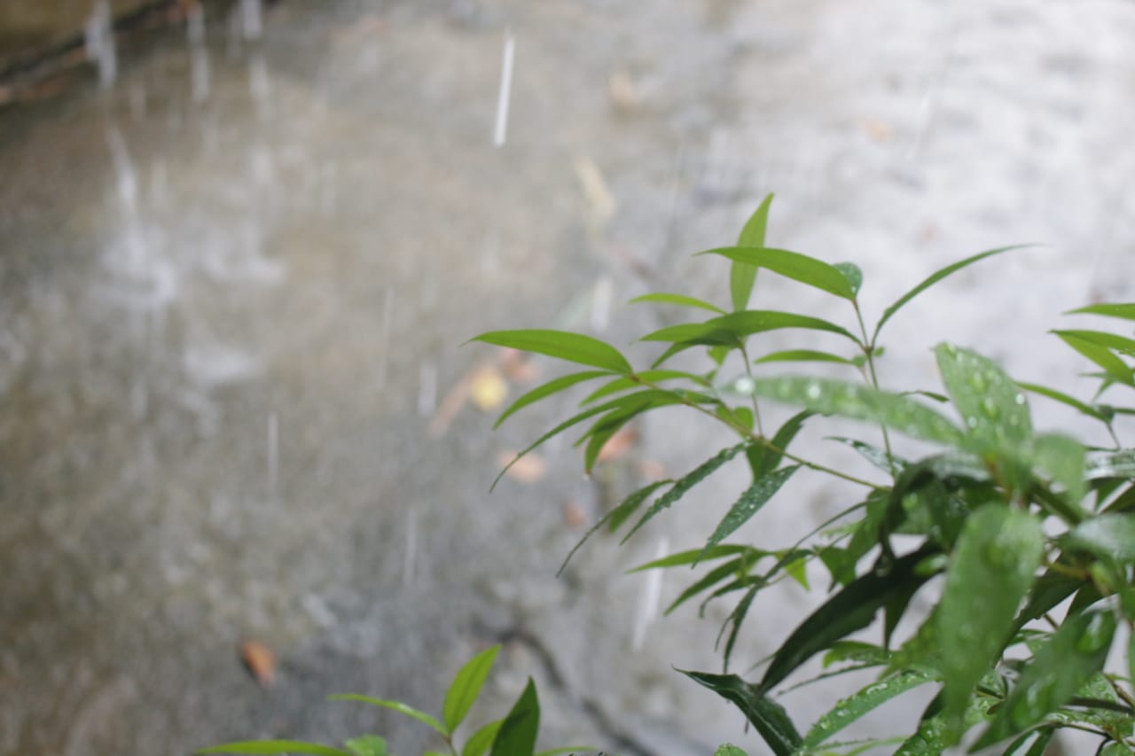 hujan-ringan.jpg