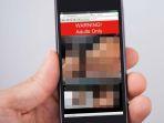 2842022-pornografi.jpg