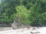 Batu-Lekahatu-di-Pantai-Hunila.jpg