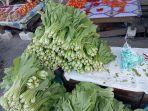 Harga-sayur-malra-62024.jpg