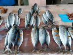 Ikan-egh.jpg
