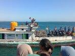 KM-Motor-Laut-Dausa-Kecil-tanimbar.jpg