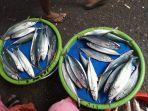 Pasar-Binaiya-ikan.jpg