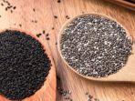 Perbedaan-Selasih-dan-Chia-Seed.jpg