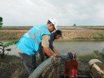 Program-Electrifying-Agriculture-PLN.jpg