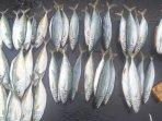 Stok-ikan-di-pasar-Inpres-Namlea.jpg